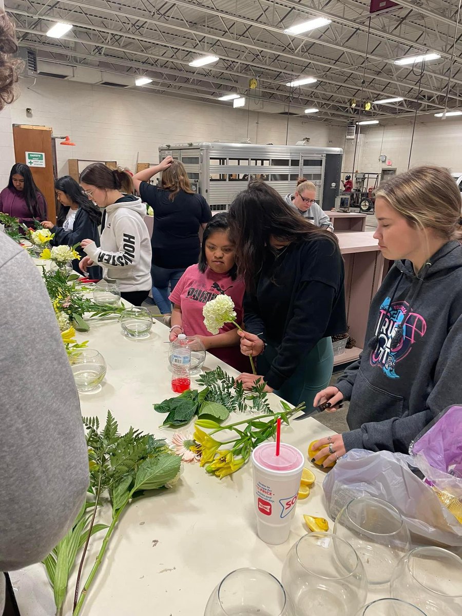 Mineral Wells ISD CTE tweet media