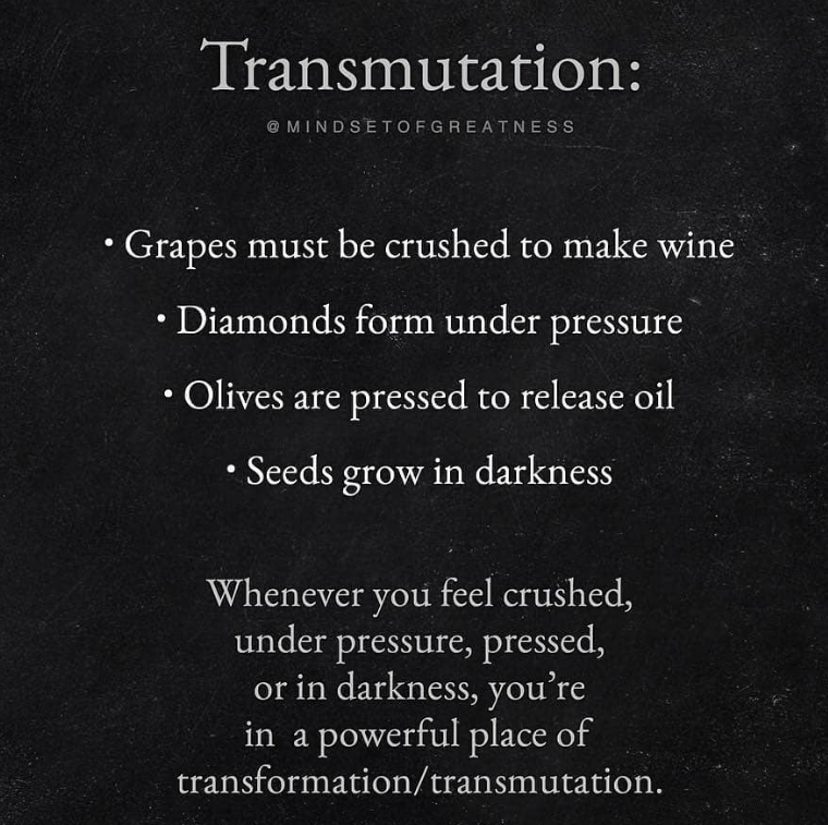 Organic Live Food tweet media