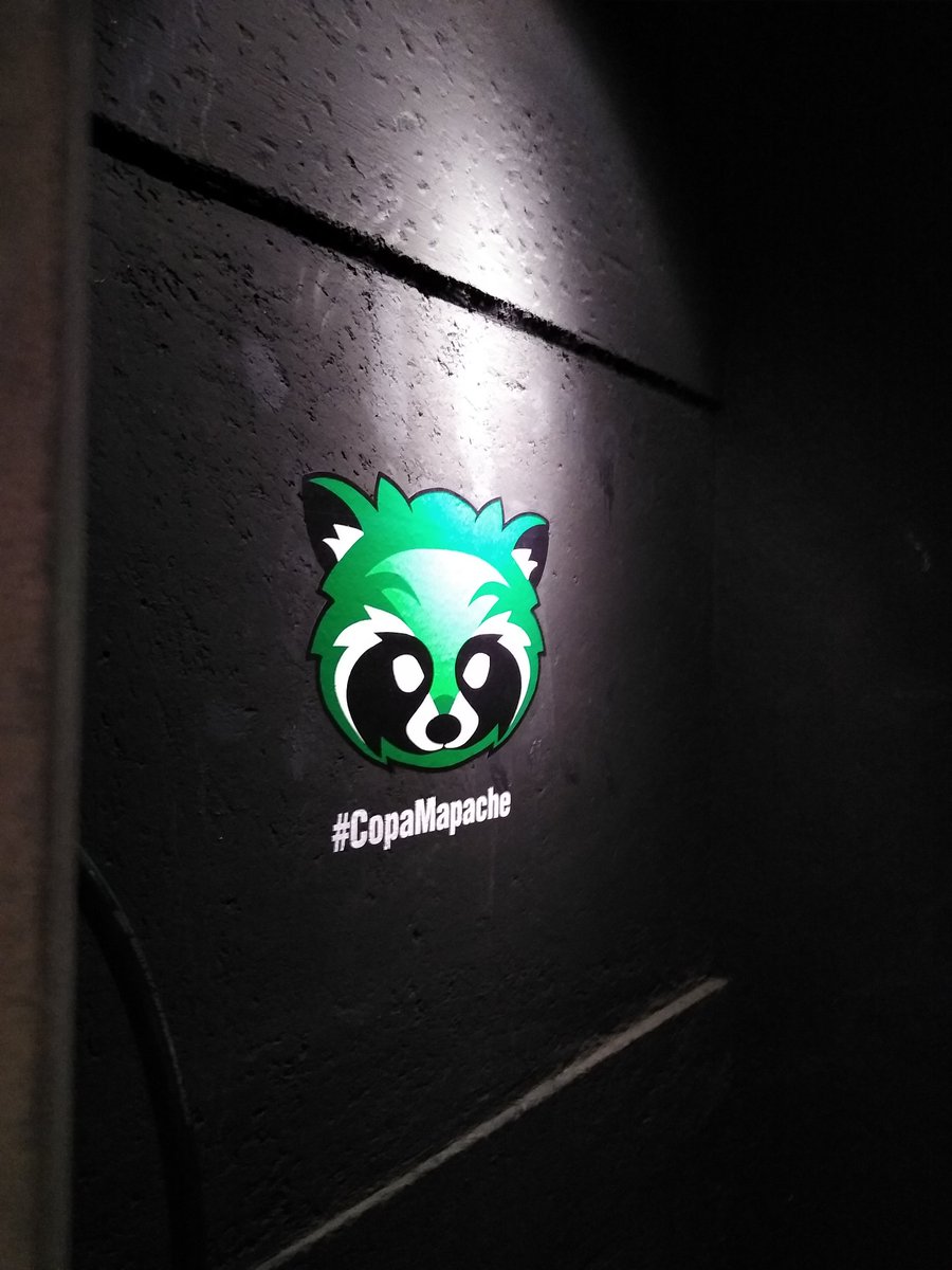 👀 #CopaMapache