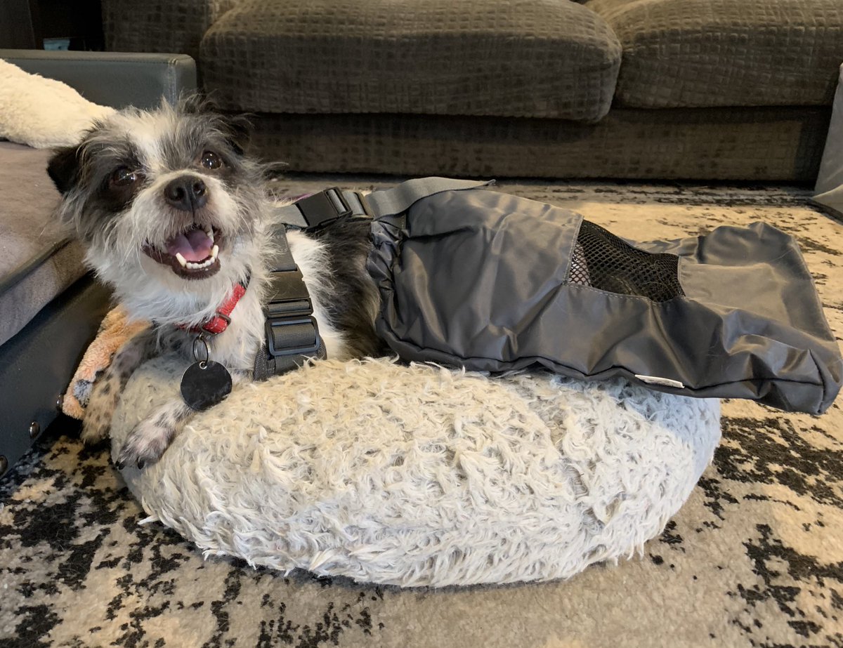 TheHerdHouse's tweet photo. Thank you uncle todd. This will help keep my skin safe & healthy. ~ RP
#dragbag https://t.co/2wh1uy99O6