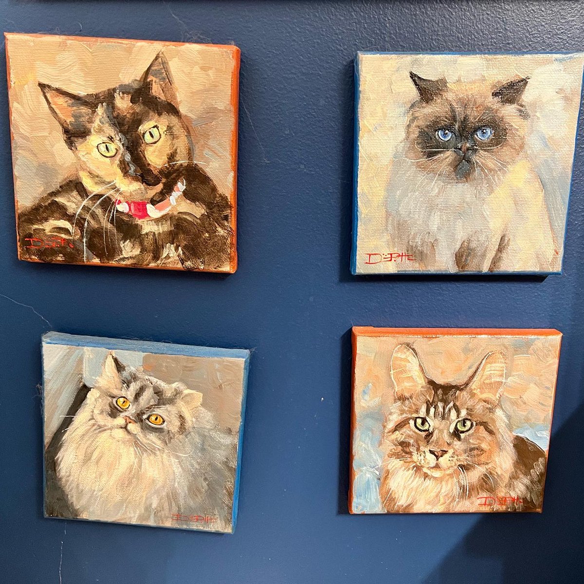 I can’t remember the last time I was this happy to see a package in my mailbox 😭. My @chewy portrait collection is now complete ❤️ #doxin #wienerdog #persian #himalayan #tortiesofinstagram #mainecoon