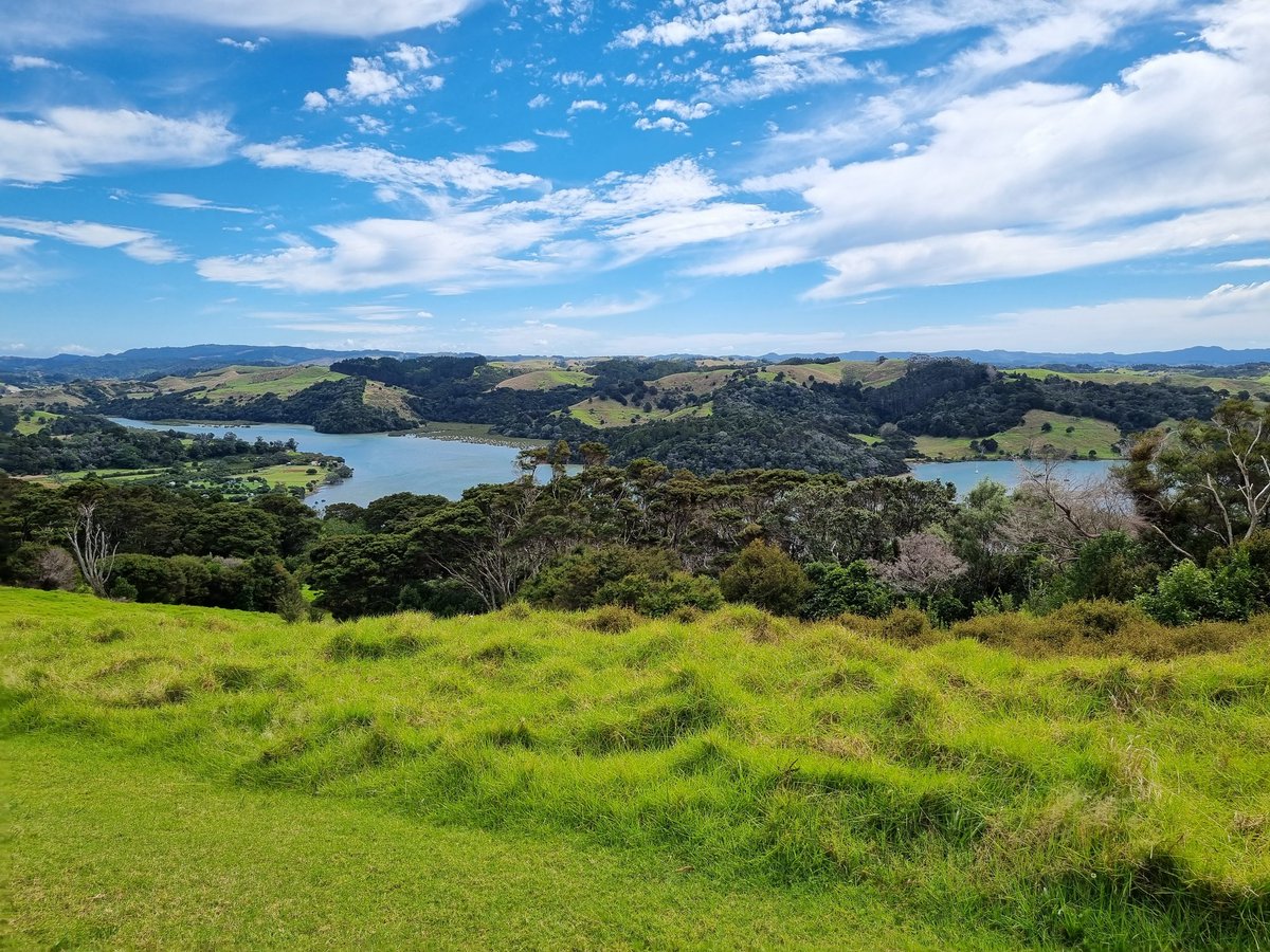 Wenderholm scout trip (not quite #geologylunch) but I will count it.
