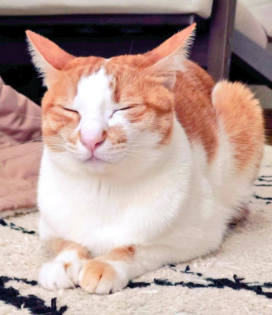 思わず笑顔になる Twitter Search Twitter