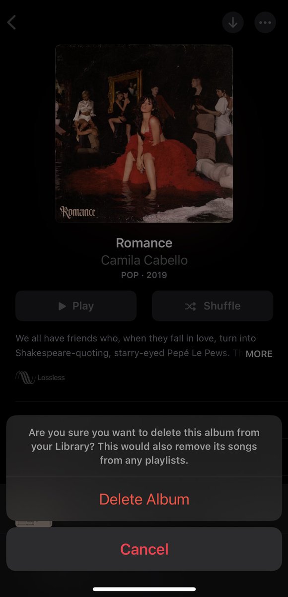 arianatorswildt's tweet photo. i heard doja cat is cancelled :(( i didn’t wanna delete any of her albums so im deleting camilas’ instead 🤍 https://t.co/YiWzrTXXMr