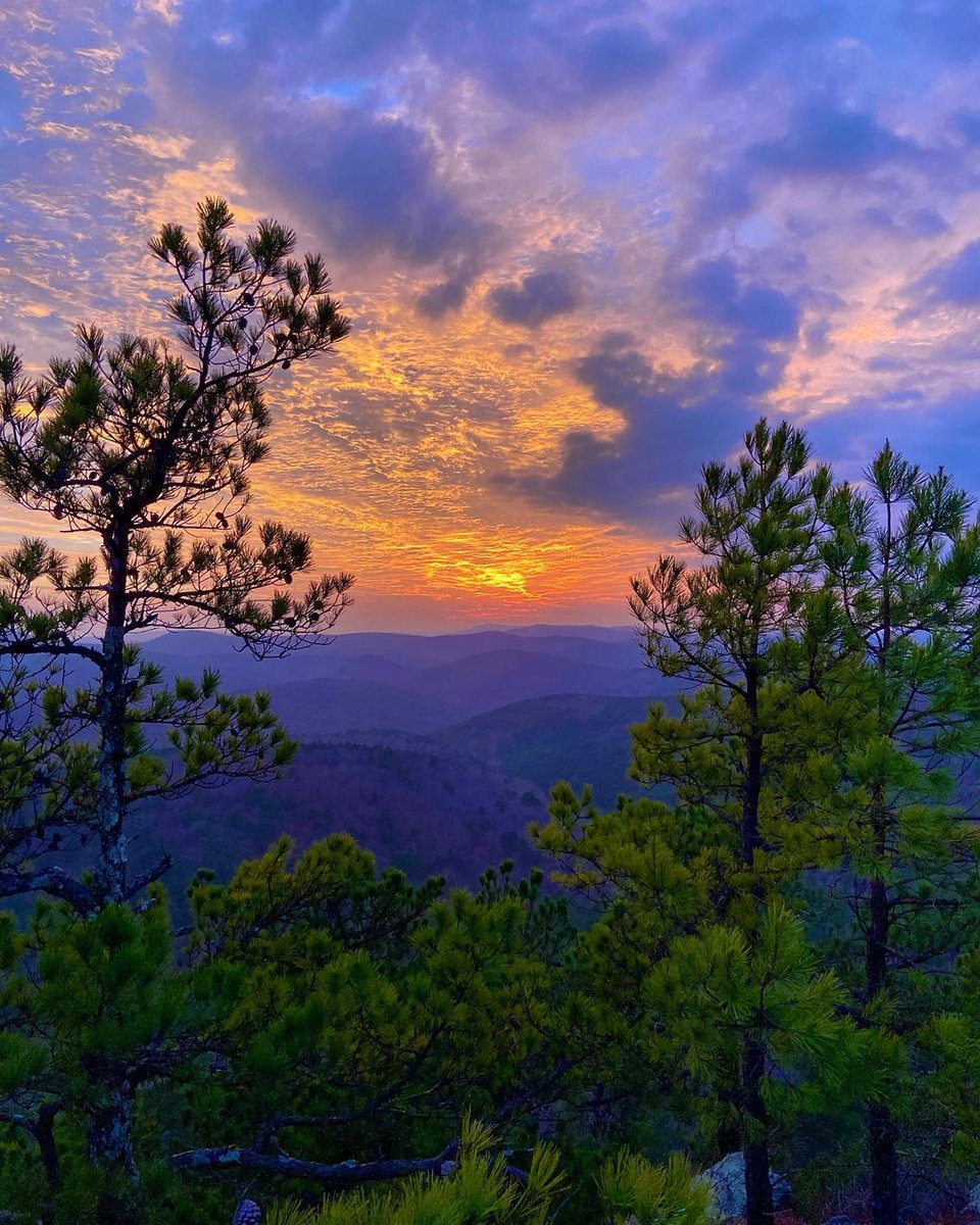 artourism's tweet photo. The beauty of these rolling hills will give you chills. 😍 #ARAmbassadors #VisitArkansas 📸: Jaime L. https://t.co/m2bhJyHtUU https://t.co/6eSBkrVk1K