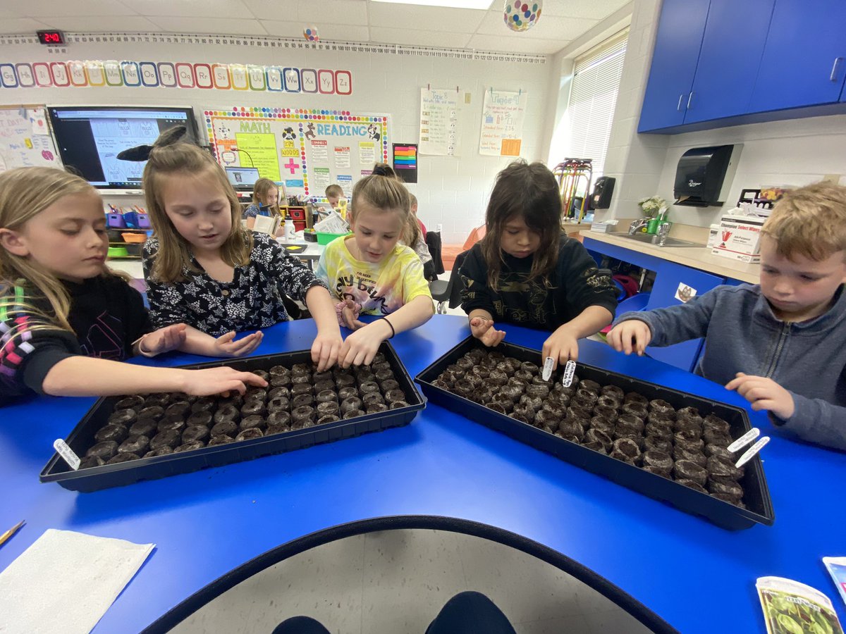 And so it begins….
The annual Bloom Festival is underway! 🫑🌸