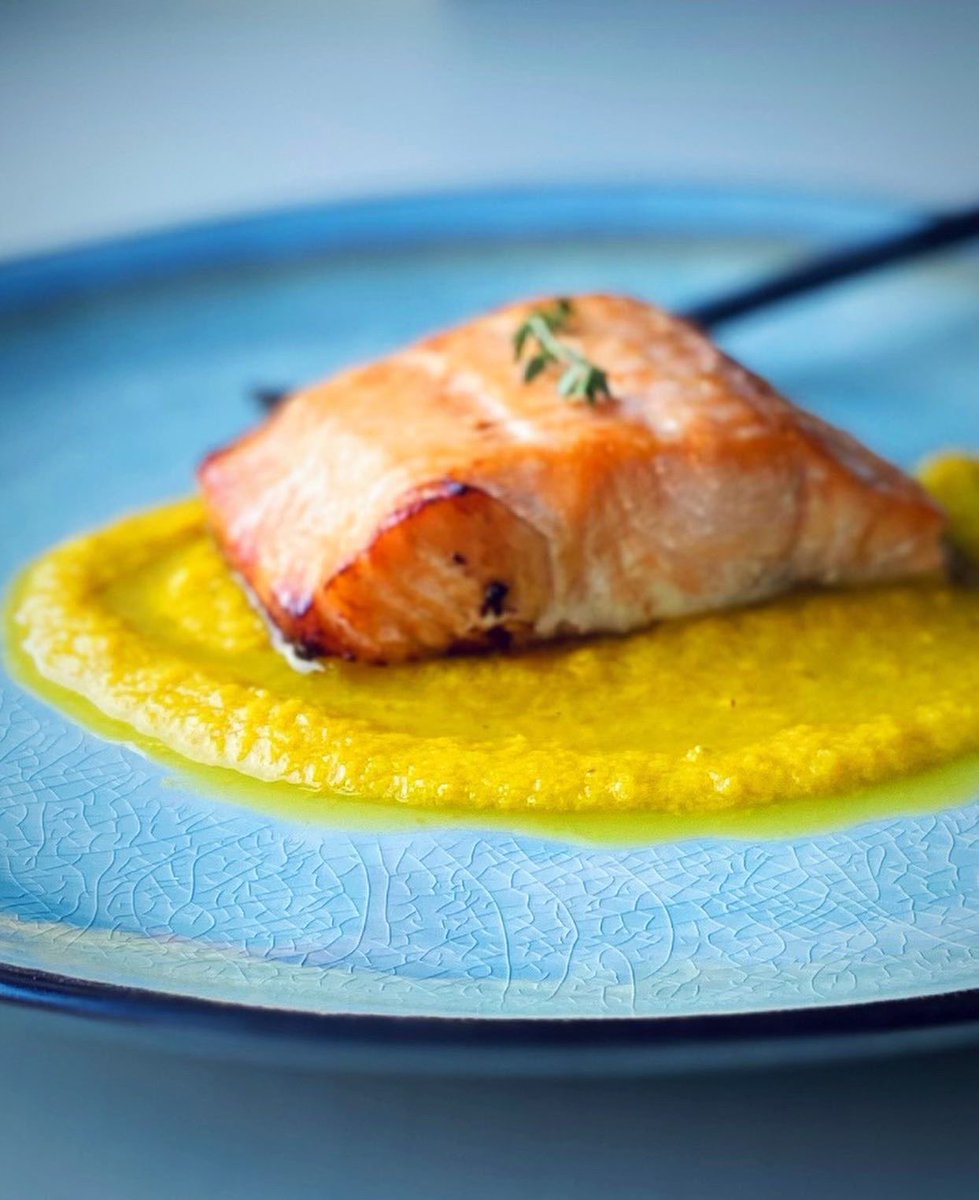 basenjimomcom's tweet photo. RT @gsdreams: Finally back in the kitchen… very busy week! Salmon with Roasted Golden Beet Purée 🤤 #salmon #goldenbeets #healthyeats https://t.co/U5eyUwuxae