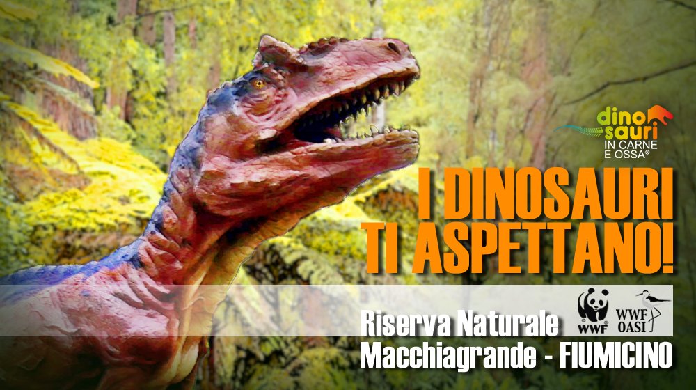 I DINOSAURI TI ASPETTANO 😱🦖🦕

Spettacolari #dinosauri a grandezza reale sono all'Oasi WWF Macchiagrande #Fiumicino! Sabato, Domenica e festivi ore 9:30-17:00 (chiusura biglietteria ore 15:30) e dal 2 aprile 9:30-18:00 (chiusura biglietteria 16:30)

👉 dinosauricarneossa.it/fiumicino