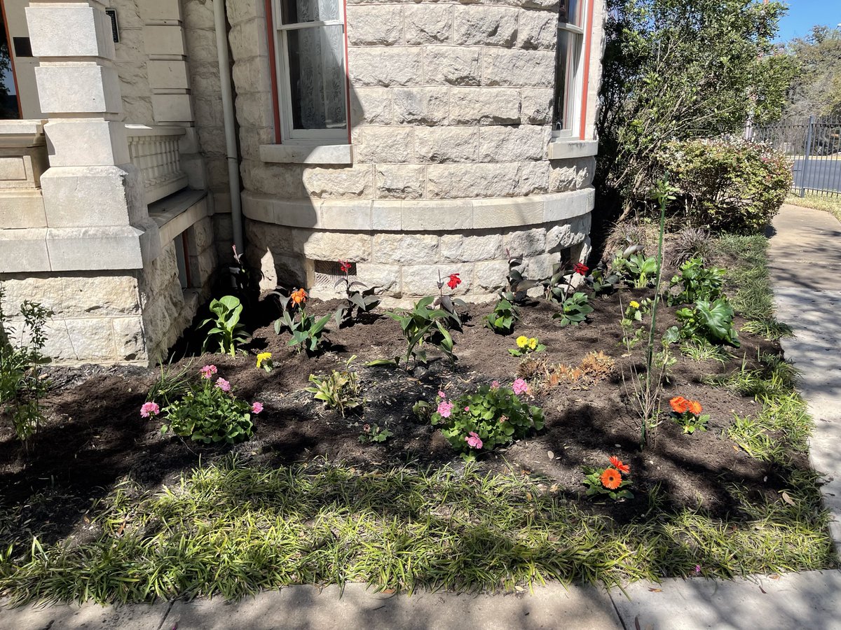 AustinJrForum's tweet photo. The beautiful Caswell House in #austin received a spring makeover in the #gardens from AJF members. Special discount rate available through 3/31 for weekend bookings. https://t.co/bDCcgKnXfY https://t.co/9RiW2uJ8qB