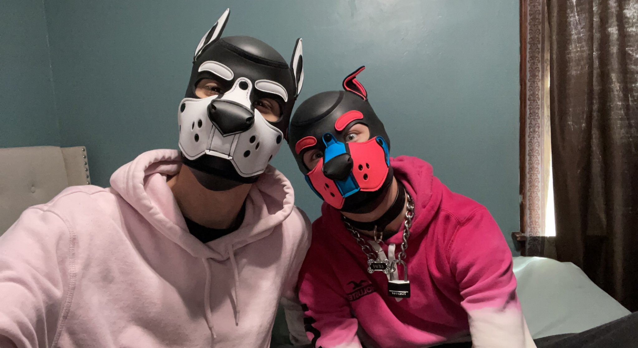 Pup Lancer on Twitter "New hood! Can’t wait to wear it out to parks