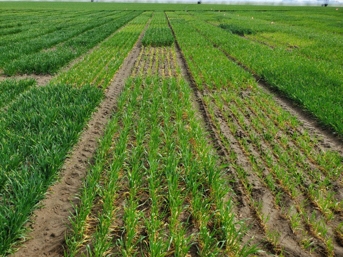 Clark Neely tweet media