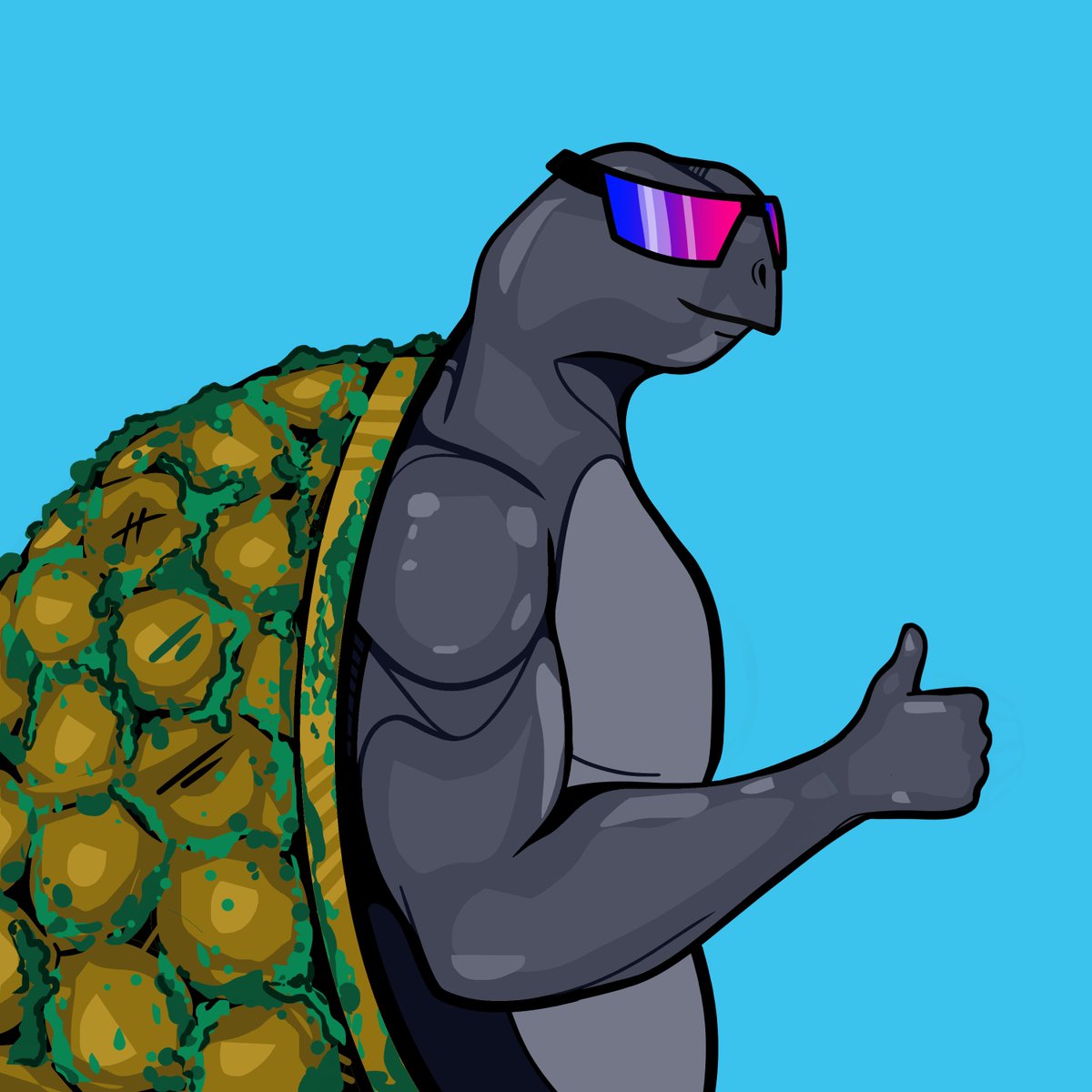 Shellz tweet media