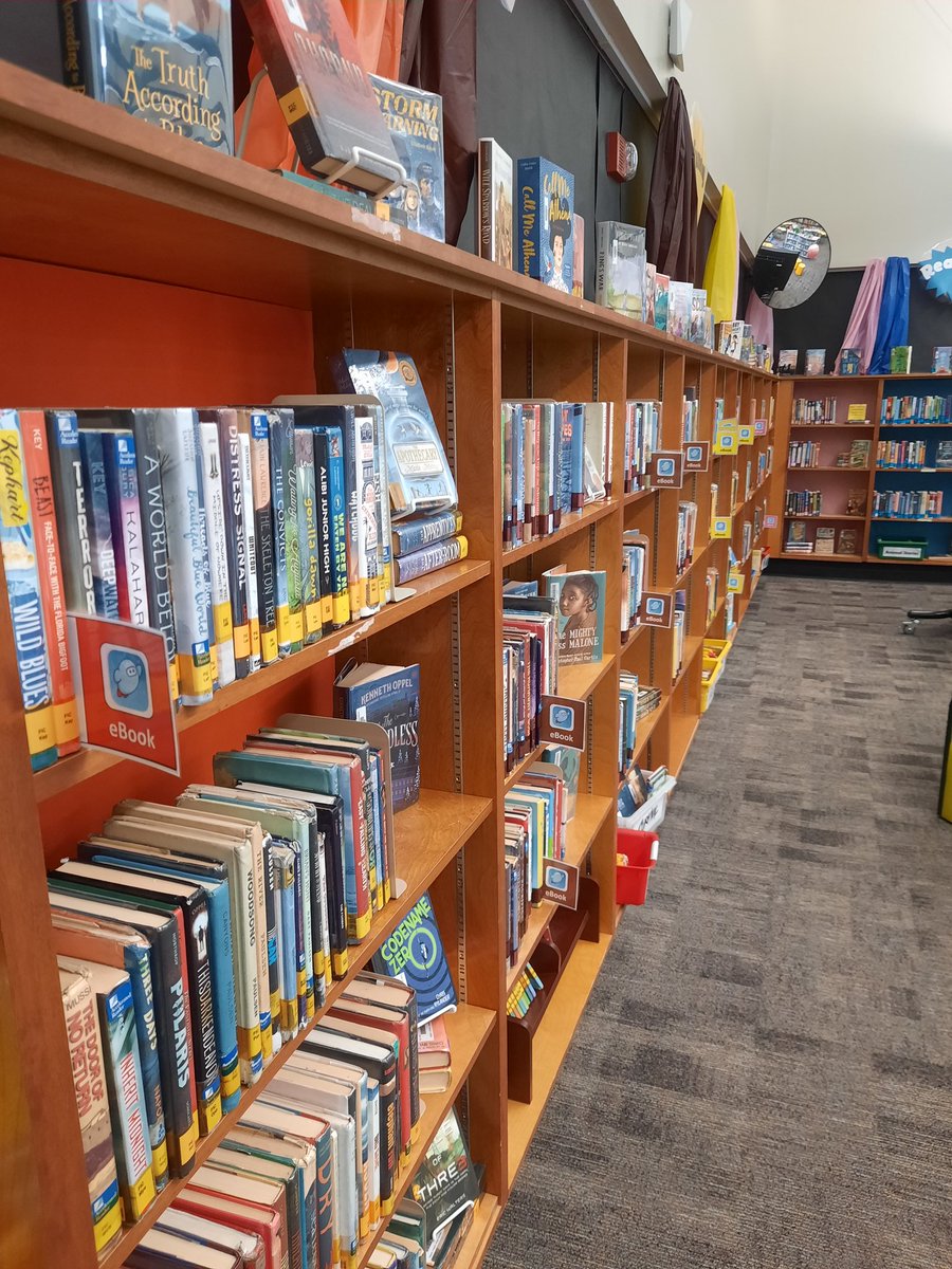 JenniferHTowns's tweet photo. Trying these shelf markers for our eBooks in Sora. Color-coded by genre. @Lori_McGovern @indiancreekmid #LibraryLadies https://t.co/T7UkSLeh1o