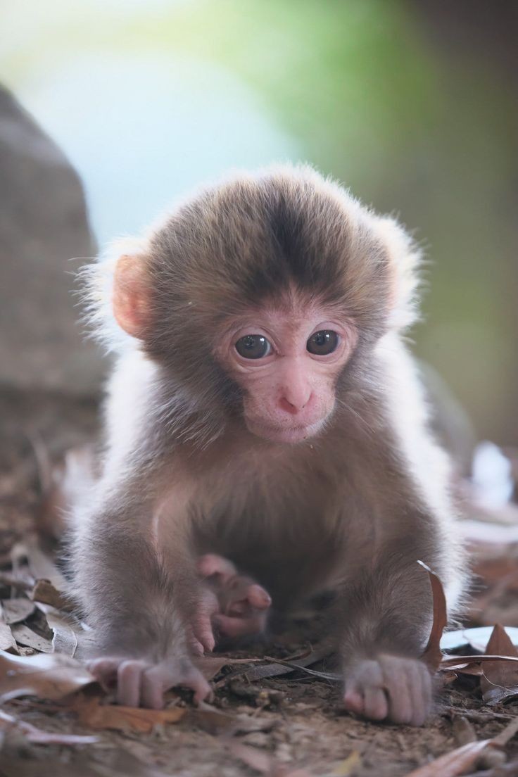 FAULYN (@oolllaaaa) on Twitter photo 