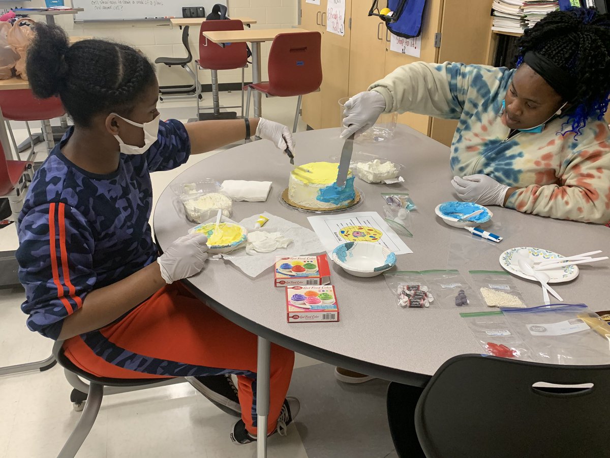 jahleesa_smith's tweet photo. My biology students took on the challenge of creating a model of a plant and animal cell by decorating a cake!!! THEY NAILED IT and I just had to CELL-ebrate their hard work by sharing it! #LearnLeadDESIGN #proudteacher @RedhawkJackson1 @MrsTNicholson @ThePBates https://t.co/iodHbDl3ND