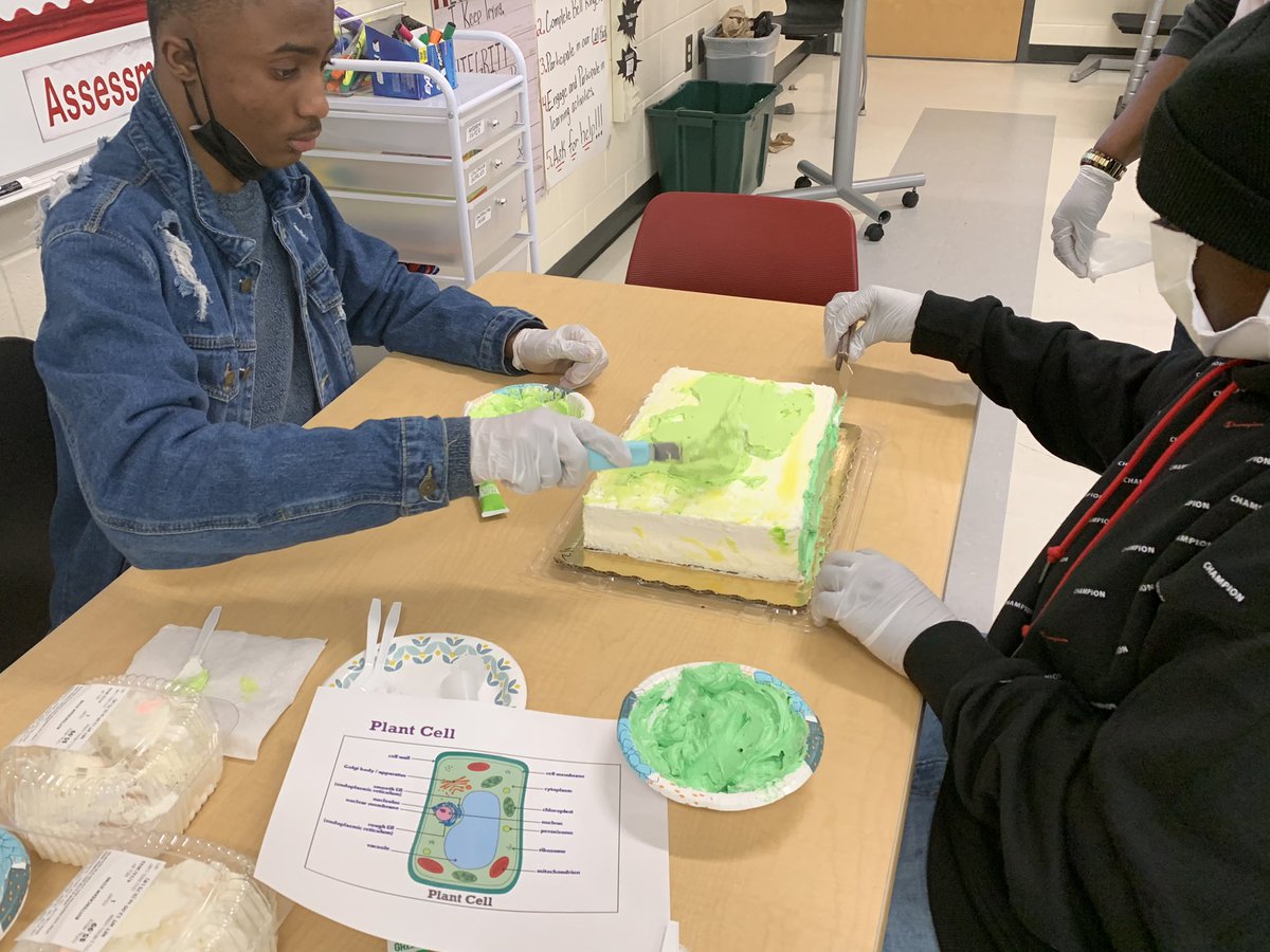 jahleesa_smith's tweet photo. My biology students took on the challenge of creating a model of a plant and animal cell by decorating a cake!!! THEY NAILED IT and I just had to CELL-ebrate their hard work by sharing it! #LearnLeadDESIGN #proudteacher @RedhawkJackson1 @MrsTNicholson @ThePBates https://t.co/iodHbDl3ND