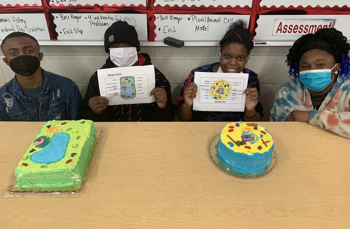 jahleesa_smith's tweet photo. My biology students took on the challenge of creating a model of a plant and animal cell by decorating a cake!!! THEY NAILED IT and I just had to CELL-ebrate their hard work by sharing it! #LearnLeadDESIGN #proudteacher @RedhawkJackson1 @MrsTNicholson @ThePBates https://t.co/iodHbDl3ND