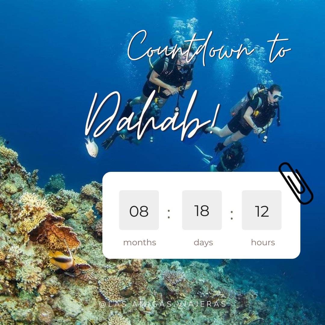 amigasviajeras's tweet photo. Time is ticking and spaces are filling in! With only about 8 and a half months left until we tour Dahab, we want to remind you of what we have planned and answer any questions you might have. Please don't be shy! #AmigasViajeras #TravelWithAmigas https://t.co/bq5CHzvFOv