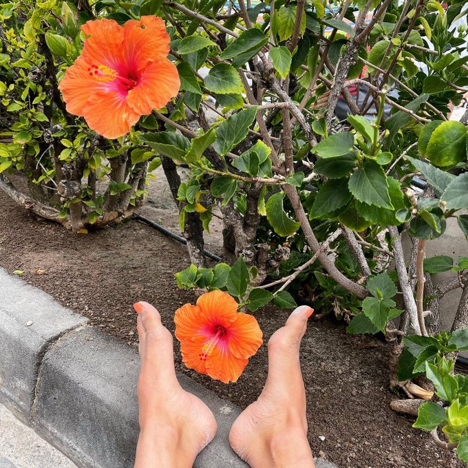 F&uuml;r meine #Fu&szlig;fetischisten noch die sch&ouml;nsten F&uuml;&szlig;e im Urlaub!  Starte gut ins Wochenende &amp; tr&auml;um sch&ouml;n😍🔥😈  #feet<a href="/tag/fu%C3%9Ffetischisten"class="tags">#Fu&szlig;fetischisten</a><a href="/tag/pretty"class="tags"><span>#pretty</span></a><a href="/tag/feet"class="tags"><span>#feet</span></a><a href="/tag/flower"class="tags"><span>#flower</span></a><a href="/tag/orange"class="tags"><span>#orange</span></a><a href="/tag/f%C3%BC%C3%9Fe"class="tags"><span>#f&uuml;&szlig;e</span></a><a href="/tag/footfreaks"class="tags"><span>#footfreaks</span></a>