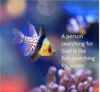 Sri Swami Sivananda
God Only Is: the World Is Not
There is only the eternal Brahman in truth. Nothing else really exists. Only Brahman, the absolute, undifferentiated mass of Satchidananda, exists.
Creation is a dream. Waking also is a dream(cont'd)
…nofloveandconsciousnessdivinityis.com/2022/03/sri-sw…