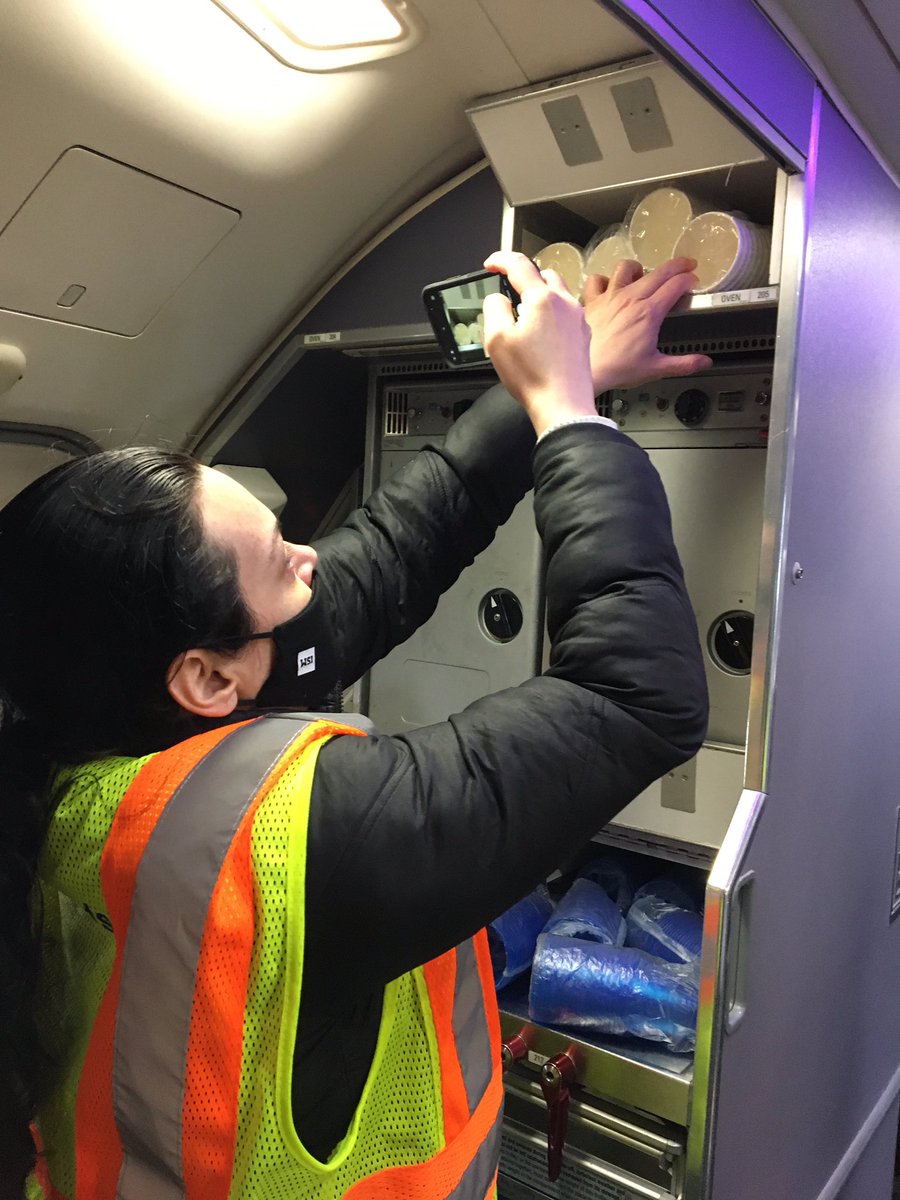 IvaLesnik's tweet photo. Galley planning at its best with fit testing performed by Manager Najla Massud on 787-800 &amp; 737-900 aircraft today. Thank you ORDSOC and LSG for assisting us to complete this assessment @Aaron_McMillan @KirstenPerliski @GrewalMandee @foxmanchi @weareunited https://t.co/J2eWgQDg28