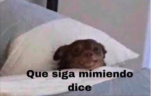 cuando te despiertas y está lloviendo