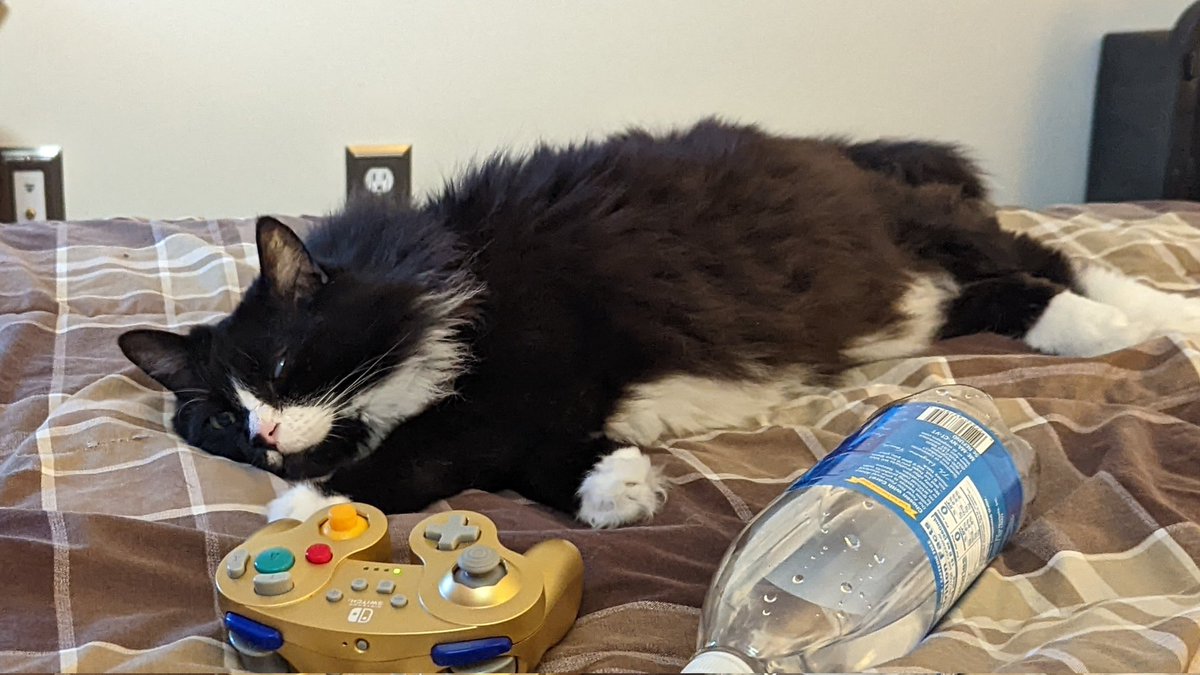 Grand Theft Autism tweet media