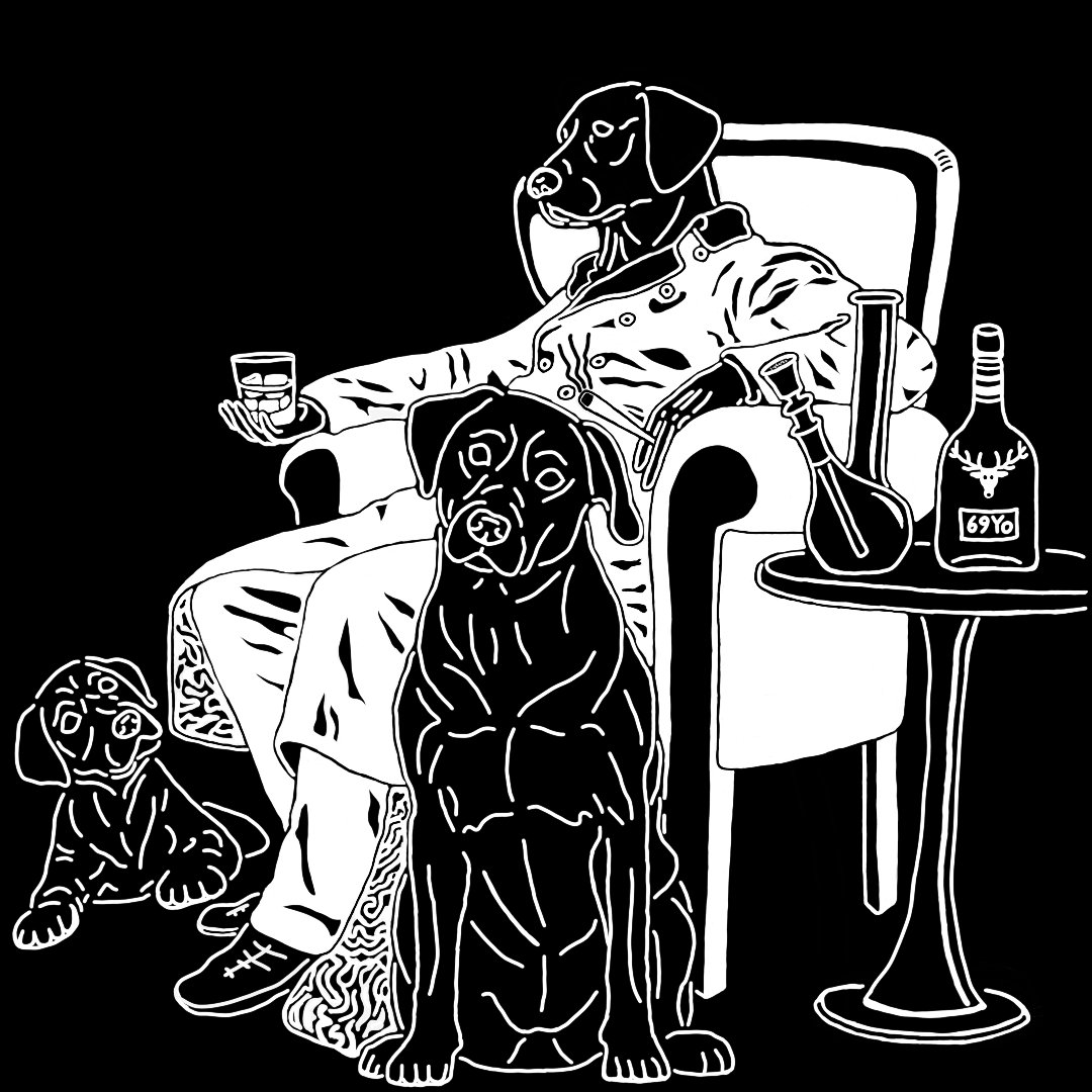 Pot Luck Labrador tweet media