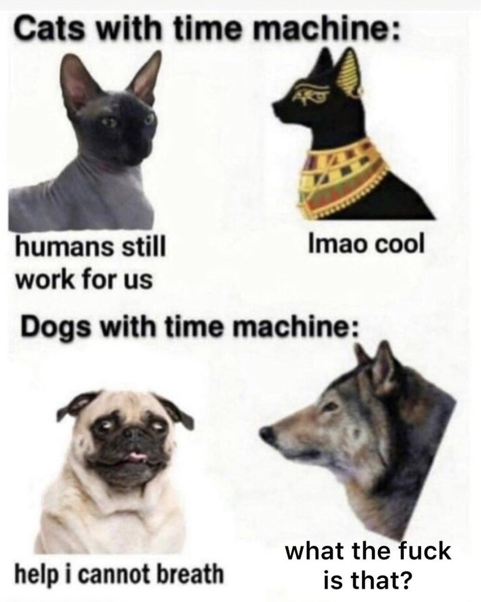 Men's Humor tweet media