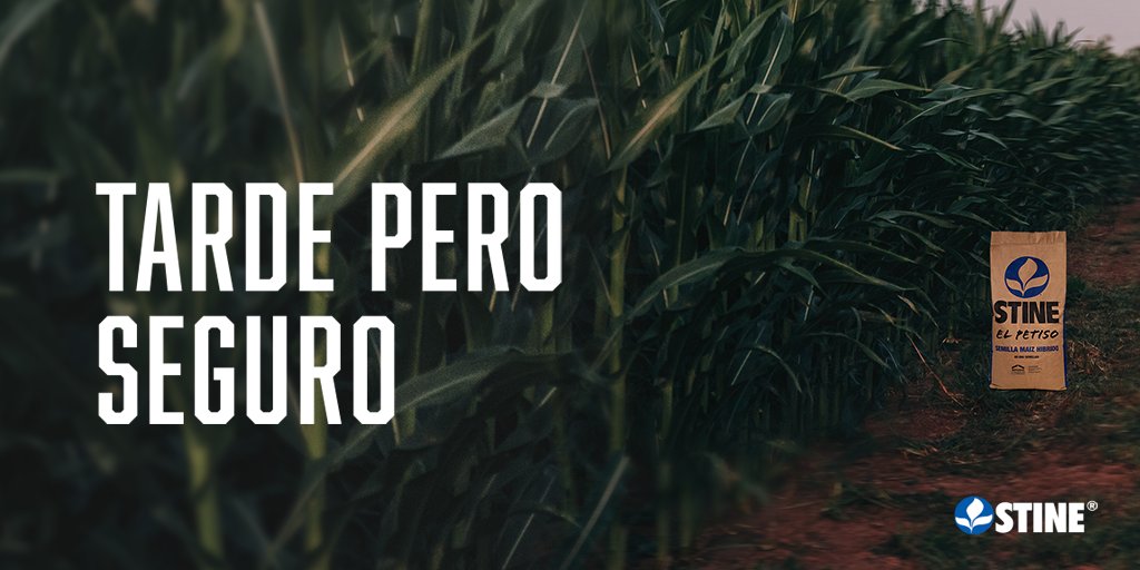 El Petiso es un maíz de siembra tardía con Tecnología 20 -Agrisure Viptera 3®- que tiene rinde y más rinde. Por eso, al ver los resultados vas a entender que lo bueno siempre se hace esperar 

Agrisure Viptera3®️ es una marca registrada de una compañía del Grupo Syngenta