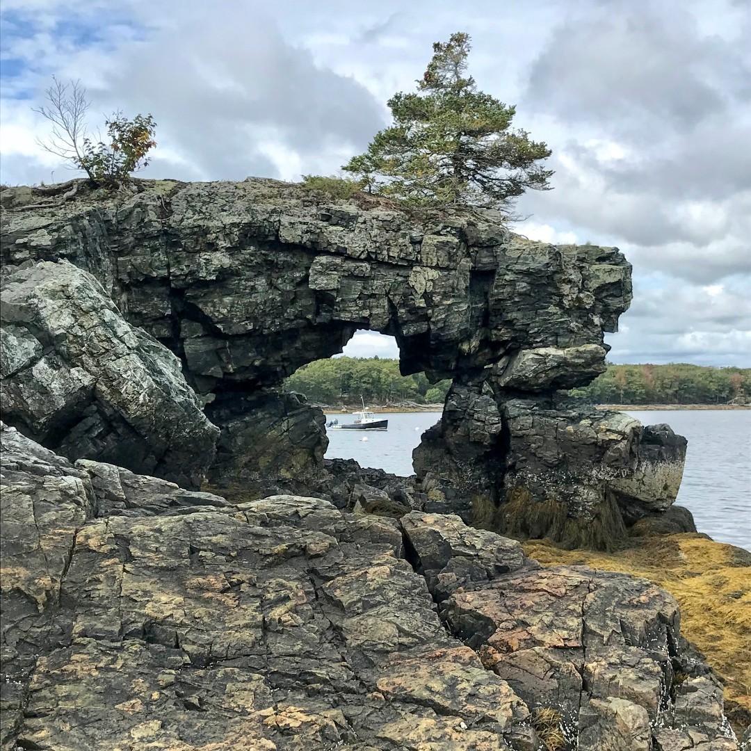 MDIBL's tweet image. Interested in living and working in a place surrounded by ocean, mountains, and #Acadia National Park? How about outstanding schools and communities that thrive on the sciences and arts? Sound like a fit for you? Check out the #MDIBL careers page! mdibl.org/careers/