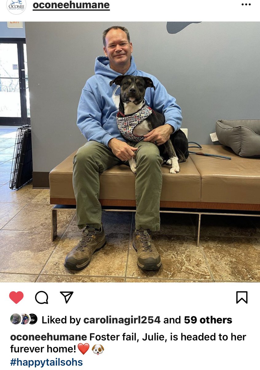 k9kayaks's tweet photo. Damon π I want to give the #FrogLegFriday honor to my new #FurSister Julie
Dad & @carolinagrl254 fostered her last weekend and we welcomed her with all #paws. On Monday it was an official #FosterFail and Julie became part of the family and best of all she does #FrogLegs β€οΈπΎπΎ https://t.co/66bU9IhyJC