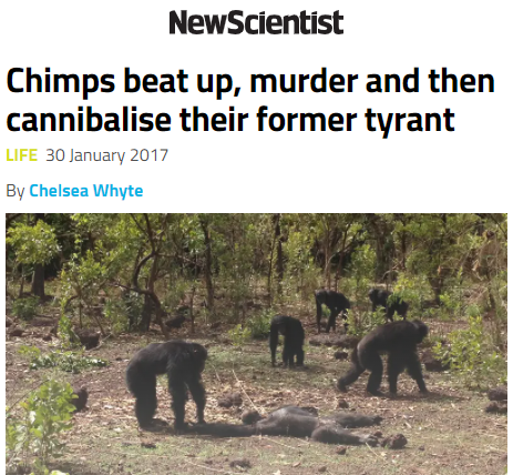 Gritty20202's tweet photo. Apparently, this is how chimps respond to resource hoarding...

Just something to think about. https://t.co/QcQD1UUGR8