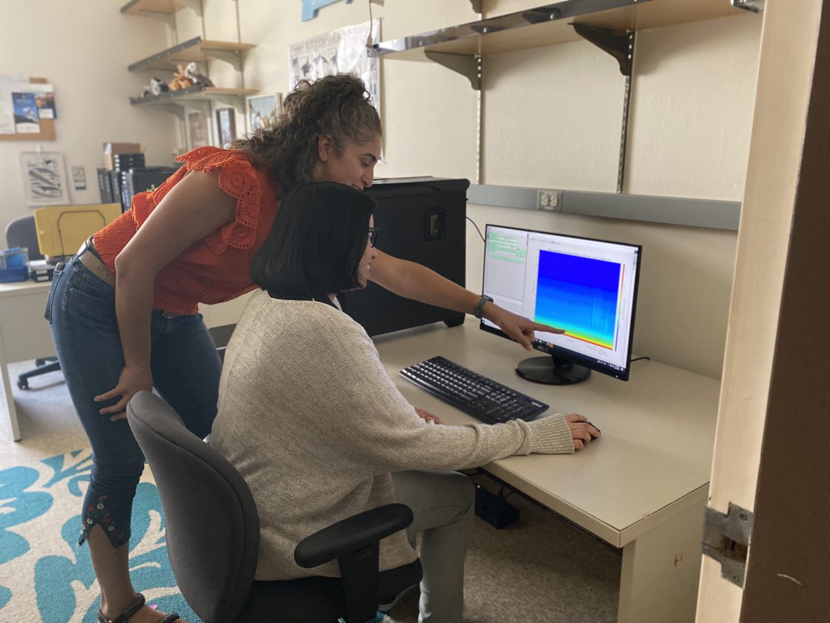 Do you speak whale? 🐋 Scripps PhD student Natalie Posdaljian (<a href="/illuminatttttt/">Natalie Posdaljian</a>) does. Working with <a href="/Scripps_MBARC/">Scripps Marine Bioacoustics Research Collaborative</a> &amp; <a href="/Scripps_AEL/">Scripps Acoustic Ecology</a>, she studies acoustic data from sperm whales, as they can potentially signal greater changes in ecosystems. Meet Natalie here: scripps.ucsd.edu/news/scripps-s…