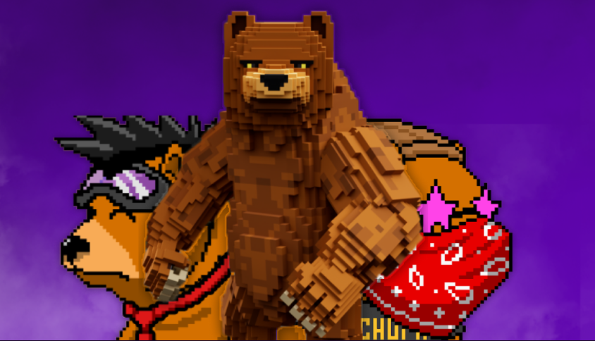 Bear X Community Page tweet media