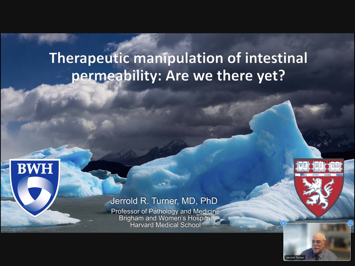 First GEM meeting in almost 3 years! (Chicago City-Wide Gut Epithelium and Mucosa (GEM) Research Interest Group Meeting) thanks to <a href="/Mashkoor_C/">Dr. Mashkoor Choudhry</a> @JCAlverdy Pradeep Dudeja PhD and Xiao-Di Tan MD.