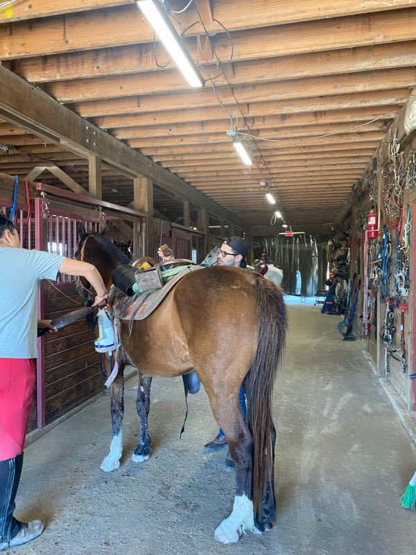 🧔🏻‍♂️Student: Ms. Phaedra, I got the job working with horses! Do you mind if I miss Mosaic on Fridays? 🧑🏽‍🏫Me: 😭🥳🎉Of COURSE you can miss every Friday to begin a job that you’re PASSIONATE about! #transition #mosaicisasteppingstone <a href="/HumbleISD/">Humble ISD</a> <a href="/HumbleISD_CAM/">Cambridge School</a>