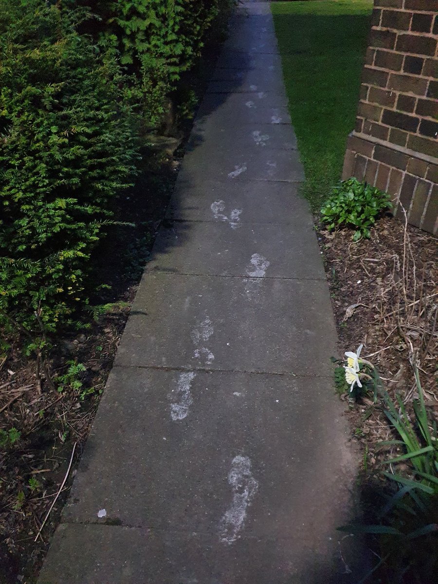 Dr Abigail Boucher tweet media