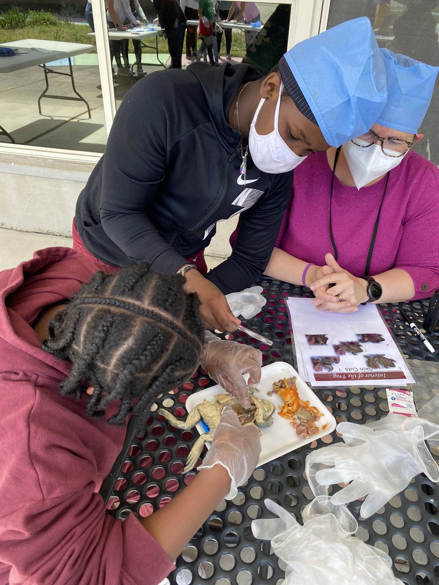 Dr. Nan Lujan tweet media