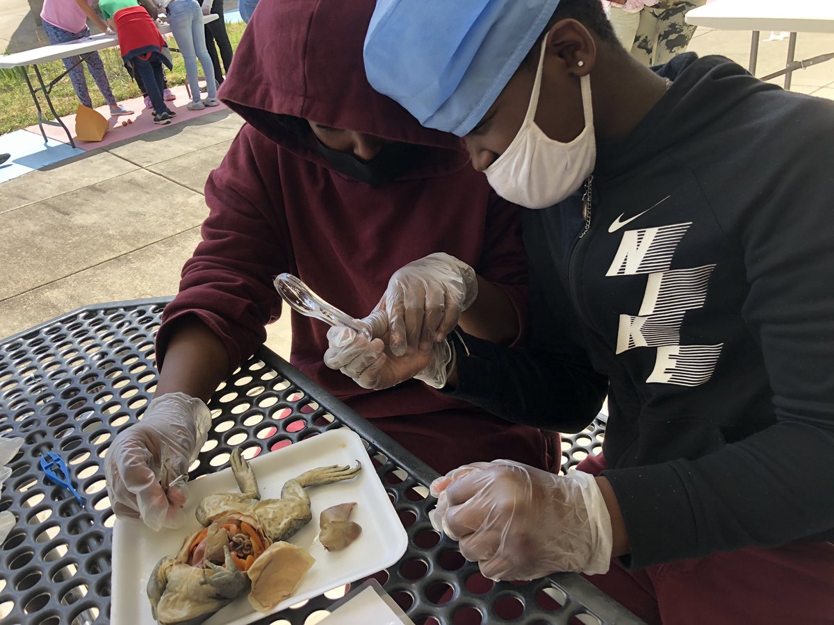 Dr. Nan Lujan tweet media