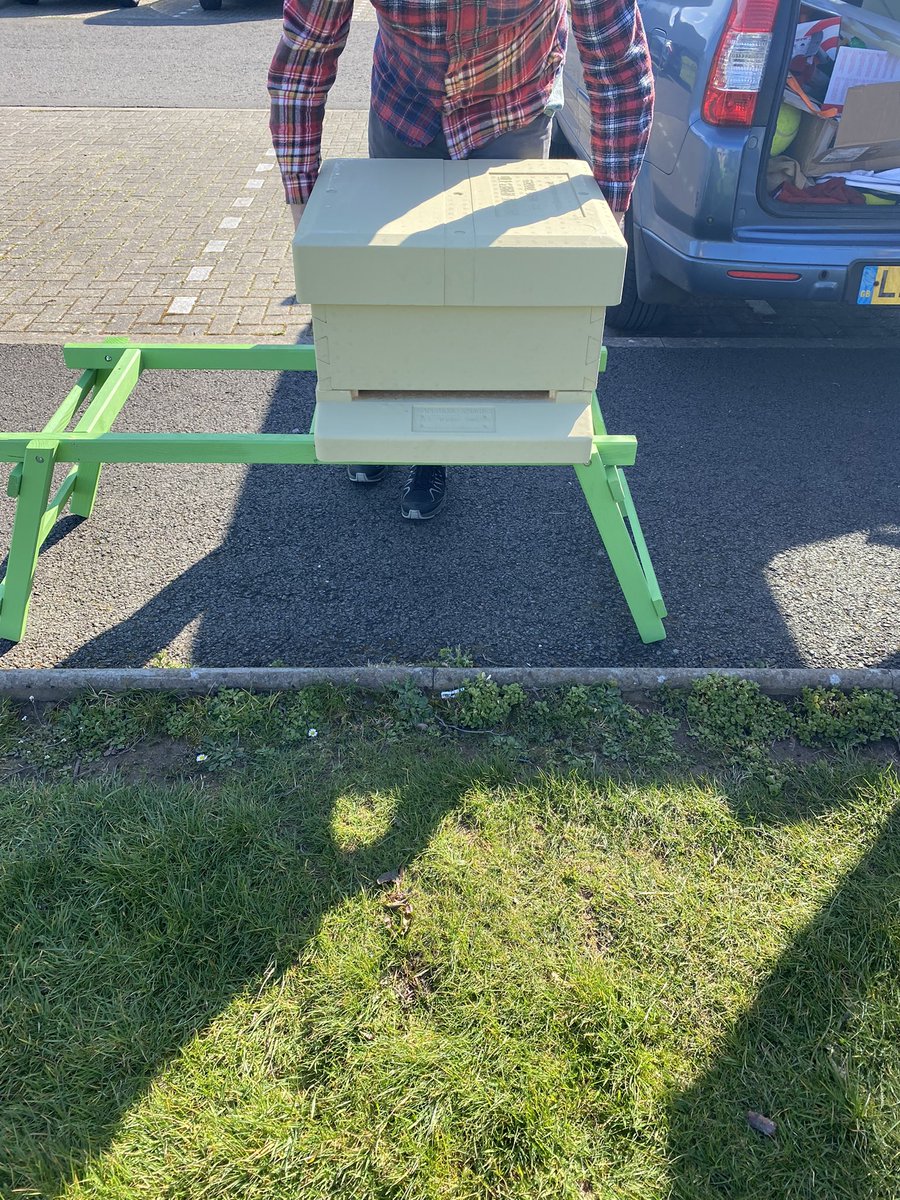 St_Col_Home_Ec1's tweet photo. Happy Friday !! Our hives have arrived in preparation for bees ๐ ๐ #Columbuzz https://t.co/U9N5EmPq6Q
