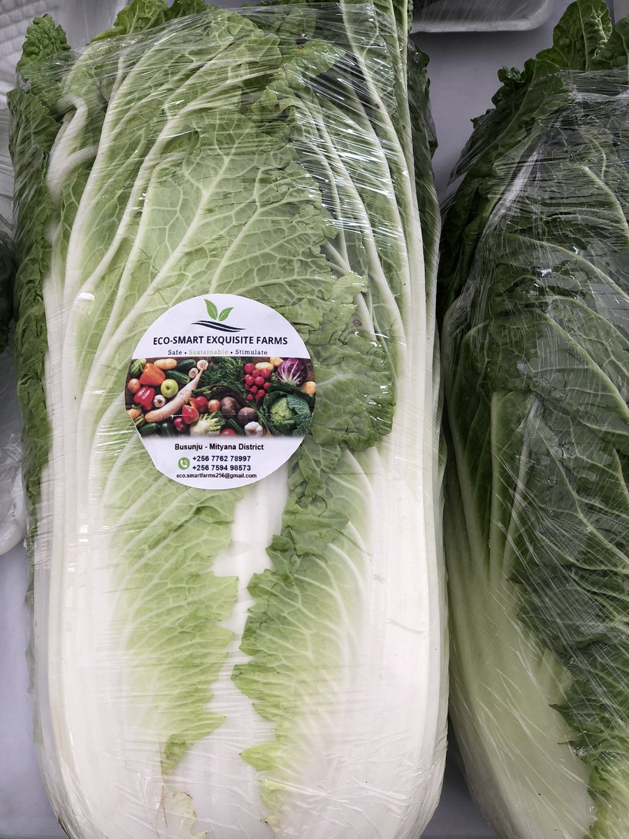 Eco-Smart Exquisite Farms LTD tweet media