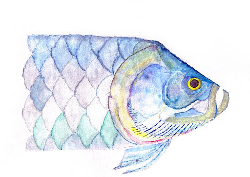 #NewNFTProfilePic NFT by tankar