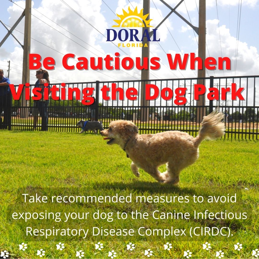 Are Dogs Contagious To Other Dogs