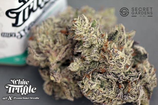 Secret gardens dropped the new #whitetruffle 

Come get the 🔥