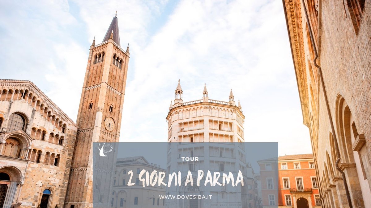 dovesiba tweet media