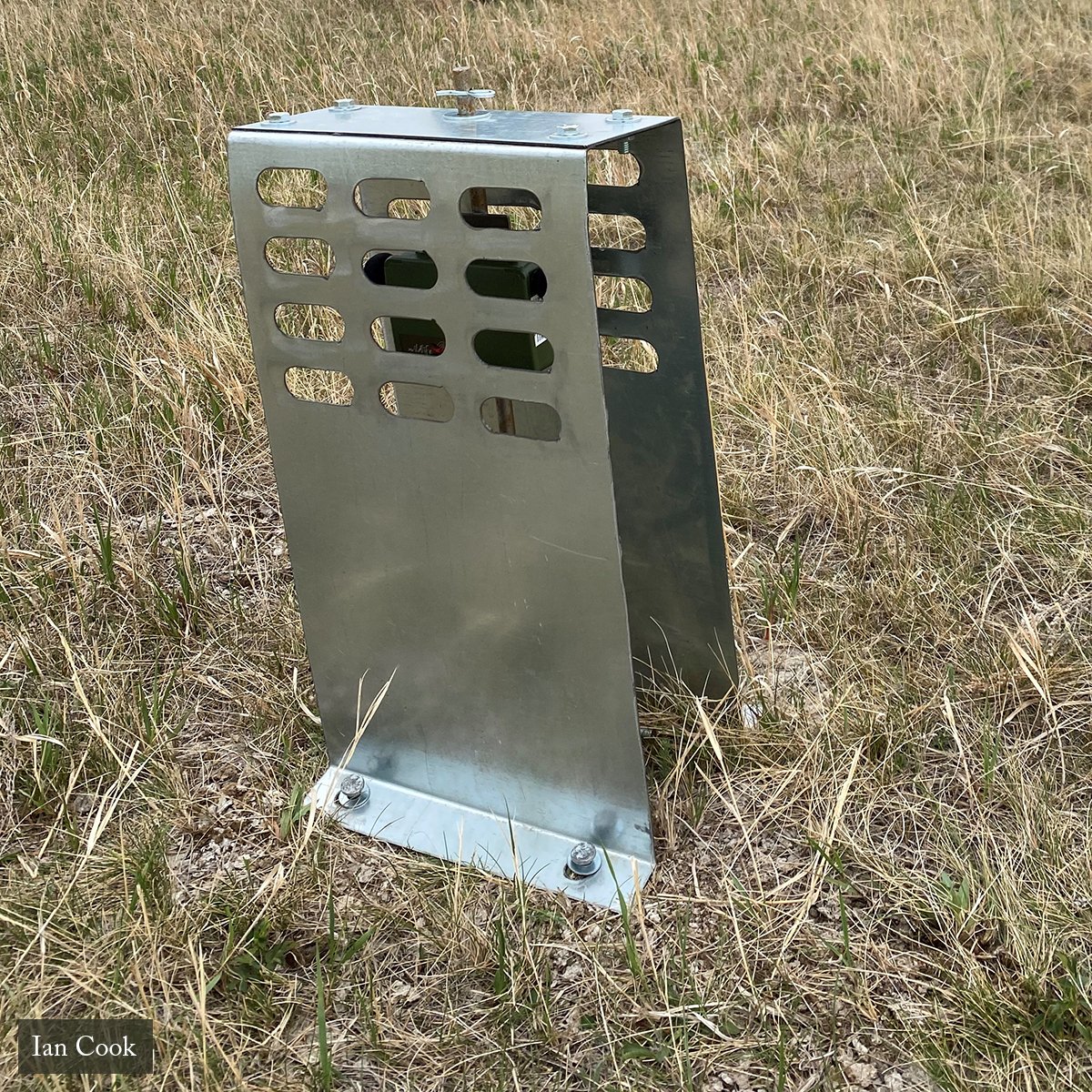 BirdsCanada's tweet image. Listening to sounds of the night can lead to unexpected discoveries! Birds Canada’s grassland bird monitoring efforts in Manitoba in 2021 turned up an elusive bird species not normally found in the province. Find out which one: birdscanada.org/rare-birds-det…