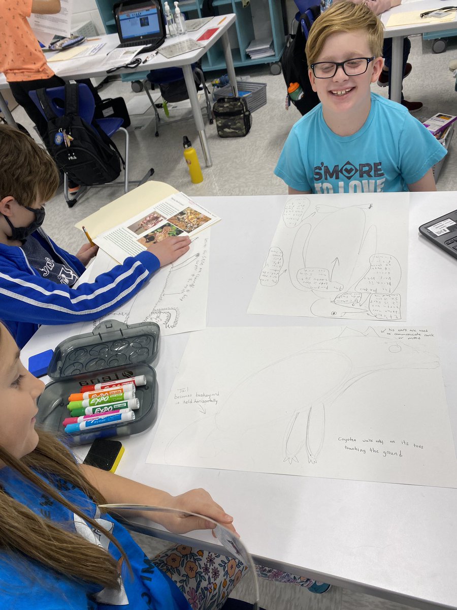 MrsReidelbach's tweet photo. 3rd graders analyze how animals’ adaptations help them survive in their habitat or help with their basic needs, recognizing the interrelationships between the animals and where they live. @mcardlejbd @VBGifted @JbdElem https://t.co/WER8aR53TL