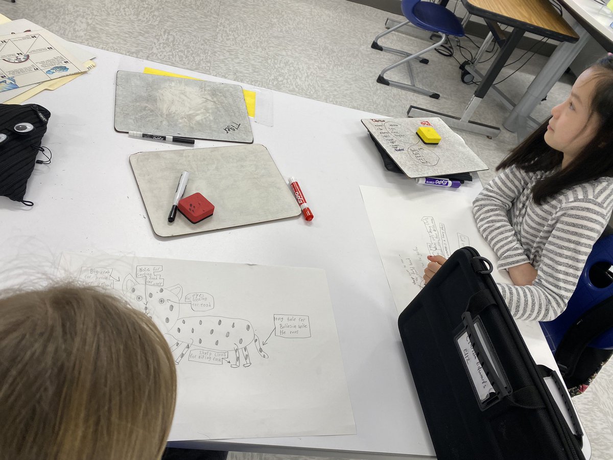 MrsReidelbach's tweet photo. 3rd graders analyze how animals’ adaptations help them survive in their habitat or help with their basic needs, recognizing the interrelationships between the animals and where they live. @mcardlejbd @VBGifted @JbdElem https://t.co/WER8aR53TL