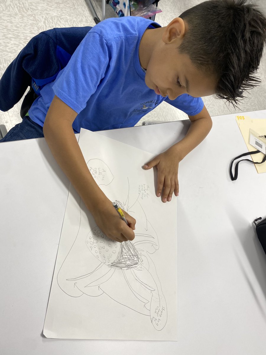 MrsReidelbach's tweet photo. 3rd graders analyze how animals’ adaptations help them survive in their habitat or help with their basic needs, recognizing the interrelationships between the animals and where they live. @mcardlejbd @VBGifted @JbdElem https://t.co/WER8aR53TL